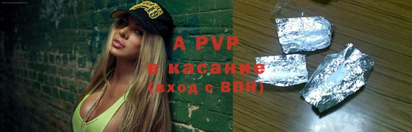 стафф Алексин