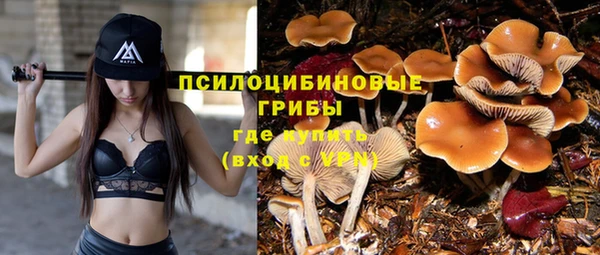 стафф Алексин