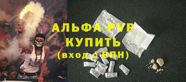 стафф Алексин