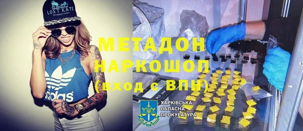 индика Абаза