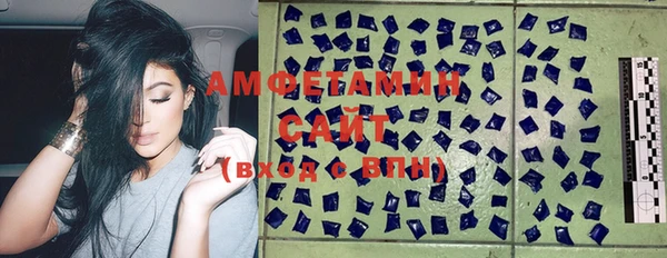 твердый Сосновый Бор