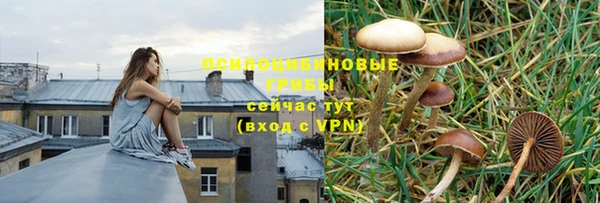 стафф Алексин