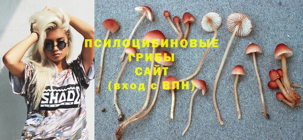 соль курить ск Алексеевка