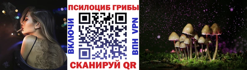 даркнет сайт  kraken ONION  Галлюциногенные грибы Magic Shrooms  Мегион 