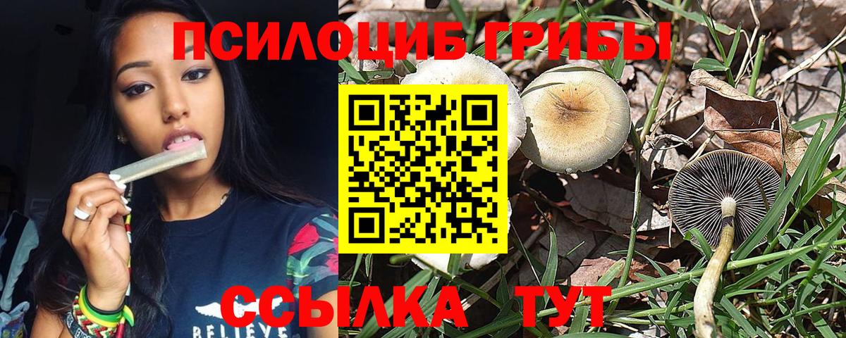 Псилоцибиновые грибы прущие грибы Мегион