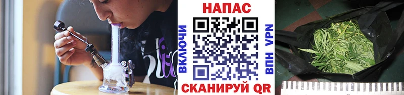 Каннабис SATIVA & INDICA  купить наркотики цена  Мегион 
